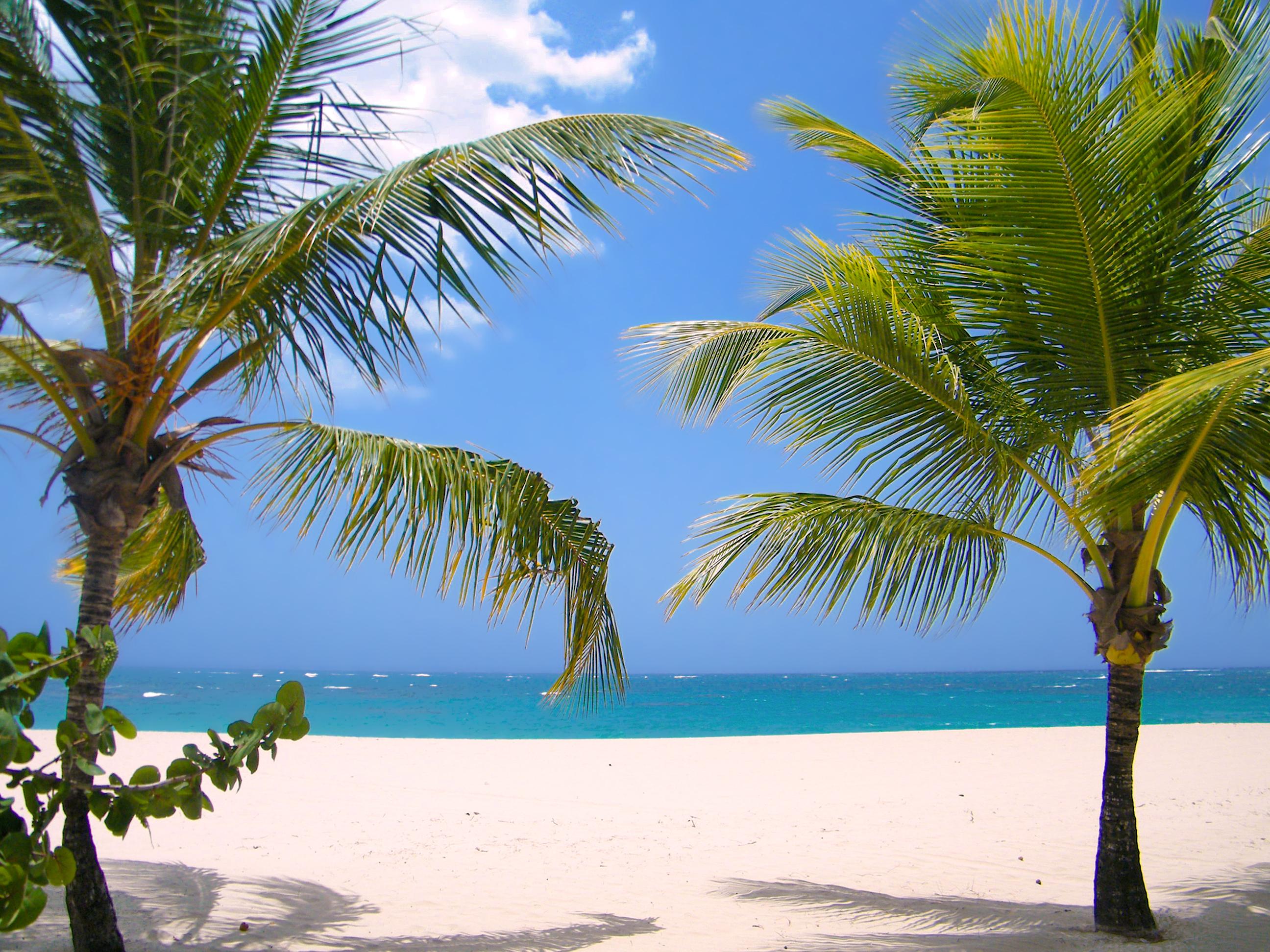 Viva Heavens By Wyndham, A Trademark All Inclusive (Adults Only) Puerto Plata Bagian luar foto
