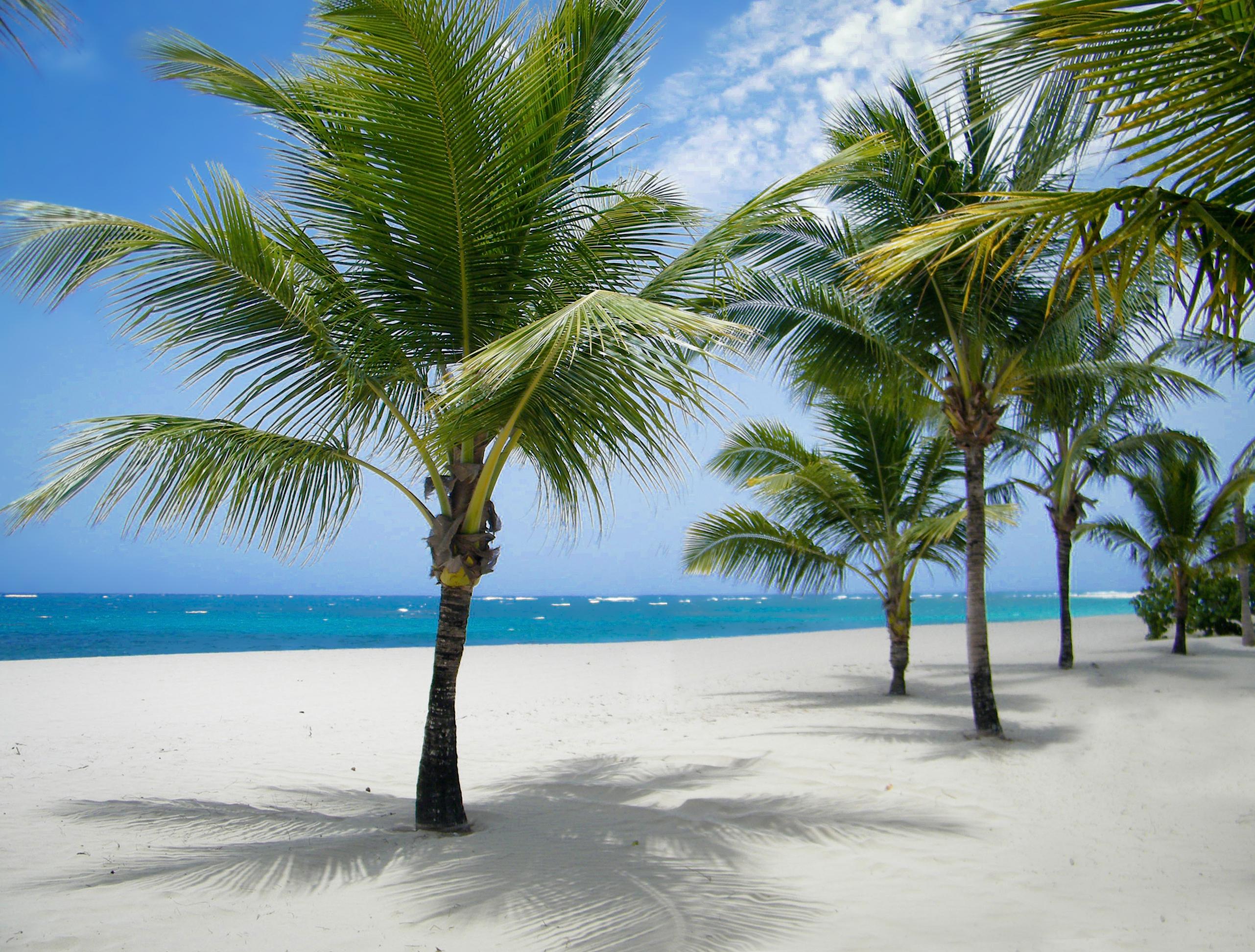 Viva Heavens By Wyndham, A Trademark All Inclusive (Adults Only) Puerto Plata Bagian luar foto