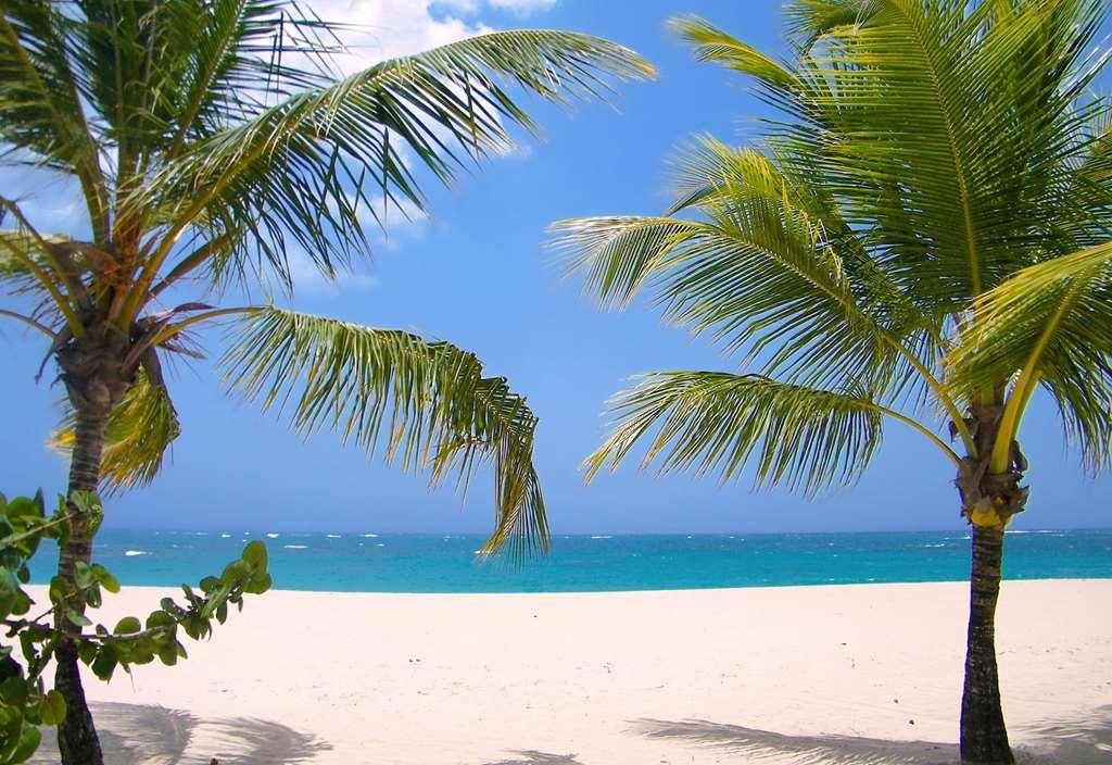 Viva Heavens By Wyndham, A Trademark All Inclusive (Adults Only) Puerto Plata Alam foto